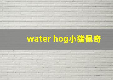 water hog小猪佩奇